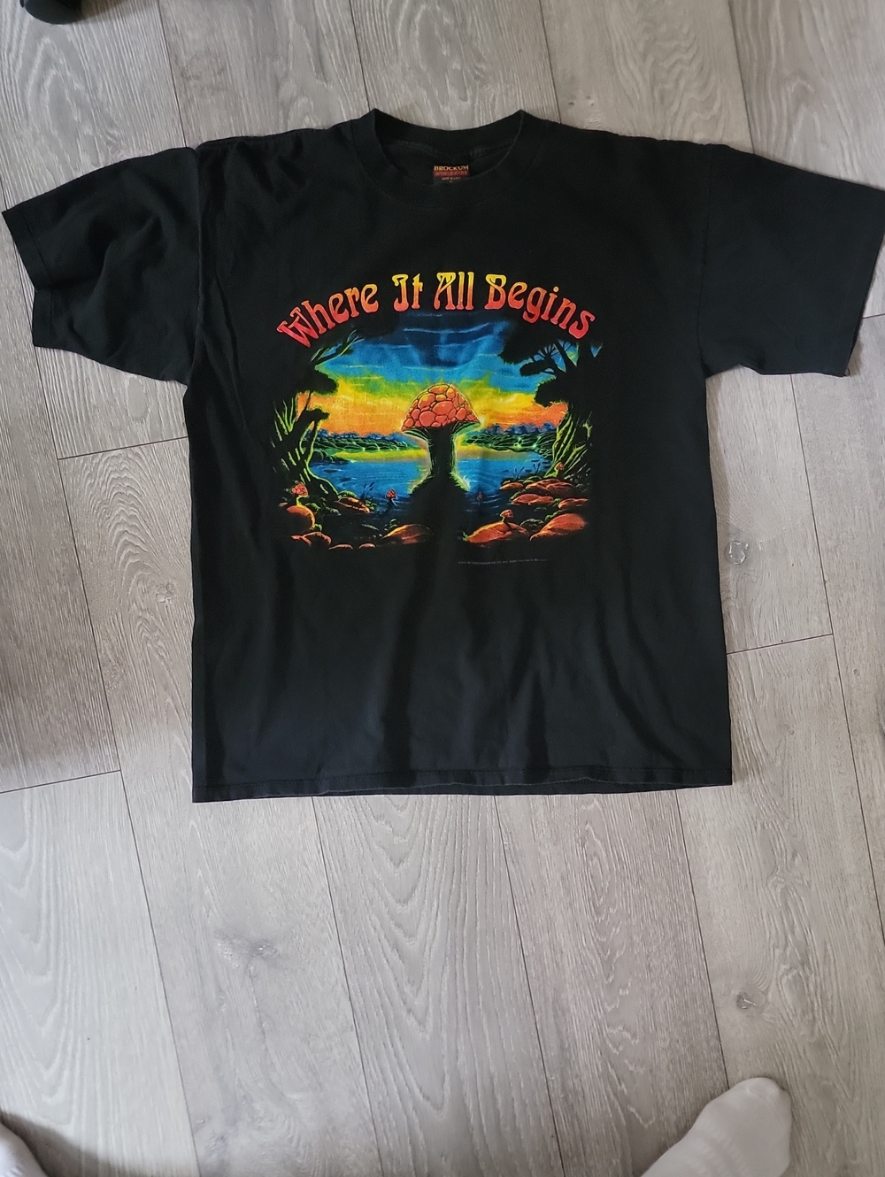 Allman Brothers "Where It All Begins" Tour Shirt (1994)